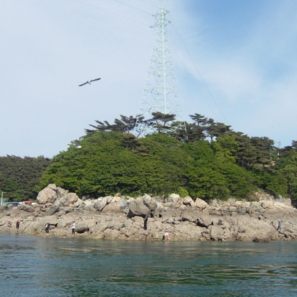 주변전경