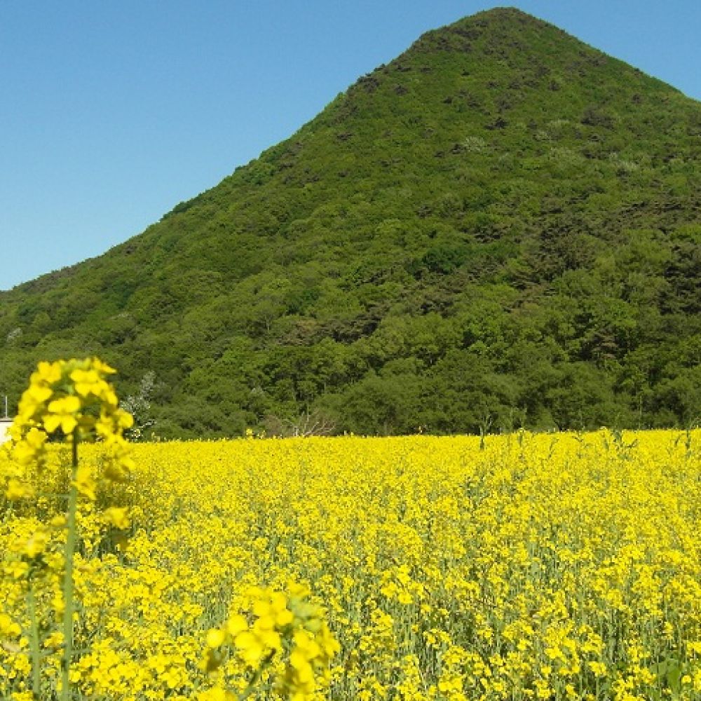 주변전경